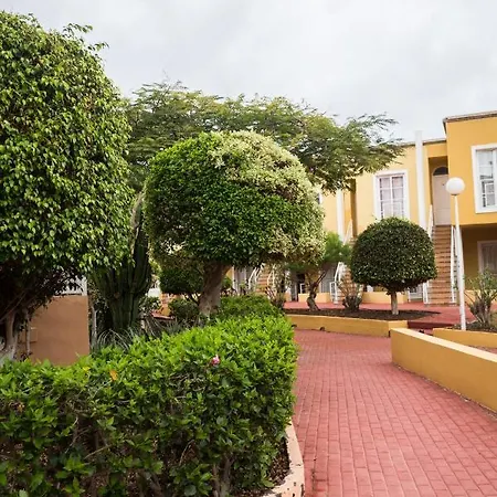 Apartment Orlando Tenerife Sur Daisy And Mikey